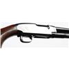 Image 6 : Winchester Model 12 16G Pump Shotgun**