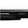 Image 4 : Winchester Model 12 28G Shotgun**
