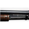 Image 5 : Marlin Model 49 12G Shotgun**
