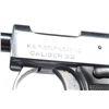 Image 7 : H&R Semi-Automatic Pocket Pistol.**