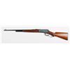 Image 3 : As New Winchester Model 1886 Semi-Deluxe Rifle.**