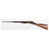 Image 2 : Colt Lightning Small Frame Pump Action Rifle.**