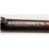 Image 5 : Colt Lightning Small Frame Pump Action Rifle.**