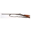 Image 2 : Specht Pinfire Hammer DB 166AG Shotgun