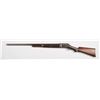 Image 2 : Burgess Pump 12G Shotgun**