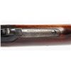 Image 8 : Winchester Model 1895 Lever Action S.R.C.**