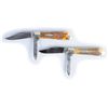 Image 1 : Lot of 2: Case Knives.