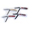 Image 1 : Lot of 4: Case Knives.