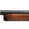 Image 5 : Winchester Mod 74 Semi-Automatic .22 Cal. Rifle**
