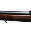 Image 5 : Rare Pre-War Winchester Model 70 Rifle.**