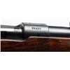Image 7 : Rare Pre-War Winchester Model 70 Rifle.**