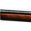 Image 5 : As New Marlin Model 60 .22 Semi-Automatic Rifle**