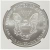 Image 3 : 2004 AMERICAN SILVER EAGLE, NGC MS-69