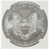 Image 3 : 2009 AMERICAN SILVER EAGLE, NGC MS-69