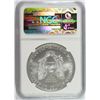 Image 4 : 2009 AMERICAN SILVER EAGLE, NGC MS-69