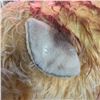 Image 2 : LARGE STIFE LION, WITH BUTTON