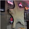 Image 1 : 8 FOOT POLAR BEAR RUG WITH PAPERWORK AND ORIGINAL BILL OF SALE. THIS 7 YEAR OLD POLAR BEAR WAS SHOT
