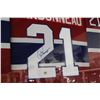 Image 2 : GUY CARBONNEAU FRAMED JERSEY, SIGNED WITH COA STICKER
