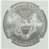 Image 3 : 2009 AMERICAN SILVER EAGLE, NGC MS-69