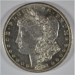 1891 MORGAN DOLLAR CH BU WHITE