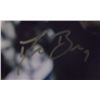 Image 3 : Drew Brees Signed Photo, With COA