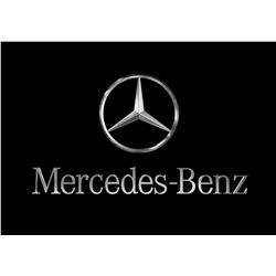 Samsonite Protect SPL Laptop Bag