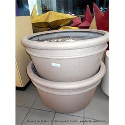 3' SCRUB/FLOWER POT 2X MONEY
