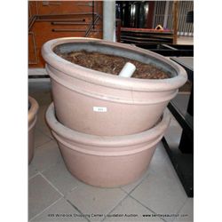 3' SCRUB/FLOWER POT 2X MONEY