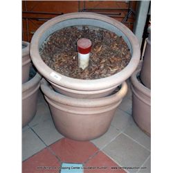 2' SCRUB/FLOWER POT 2X MONEY