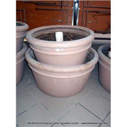 2' & 3' SCRUB/FLOWER POT 2X MONEY
