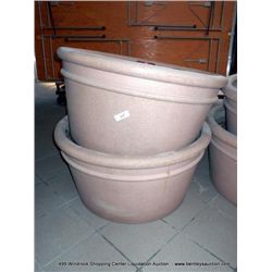 3' SCRUB/FLOWER POT 2X MONEY