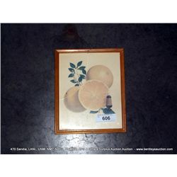 SMALL FRAMED PICTURE OF LEMONS