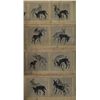 Image 1 : Chinese Donkey Painting Signed Wang Jian