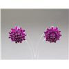 Image 1 : Sterling Silver Ruby (4.0 ct) Earrings CRV$900