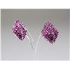 Image 2 : Sterling Silver Ruby (3.0 ct) Earrings CRV$1250