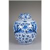 Image 1 : Chinese Blue & White Painted Phoenix Jar Kangxi