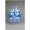 Image 2 : Chinese Blue & White Painted Phoenix Jar Kangxi