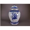 Image 1 : Chinese BW Large Jar w/ Lid Kangxi Style Qing