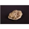 Image 2 : 3 Pc Japanese Bone Carved Netsuke