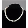 Image 1 : Natural Cultured Pearl Necklace