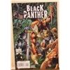Image 1 : Black Panther