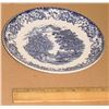 Image 1 : blue plate