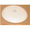 Image 2 : blue plate