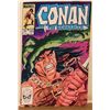 Image 1 : 1984 Conan