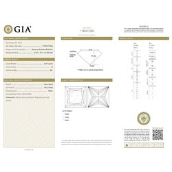 GIA/Princes/G/SI1/5.01