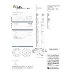 GIA/Round/I/VS1/2.17