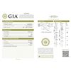 Image 1 : GIA/Round/H/SI2/0.5