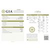 Image 1 : GIA/Round/E/I1/0.3