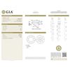 Image 1 : GIA/Round/E/VS1/1