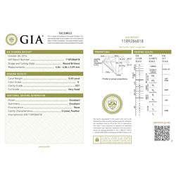 GIA/Round/E/VS1/0.45